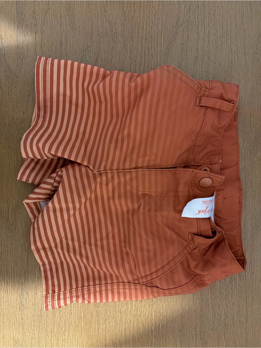 Cat & Jack Rust-Striped Swim Trunks
